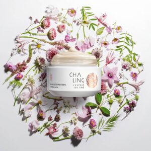 Beauté & Cosmétiques en Chine - Hylink France Cha Ling