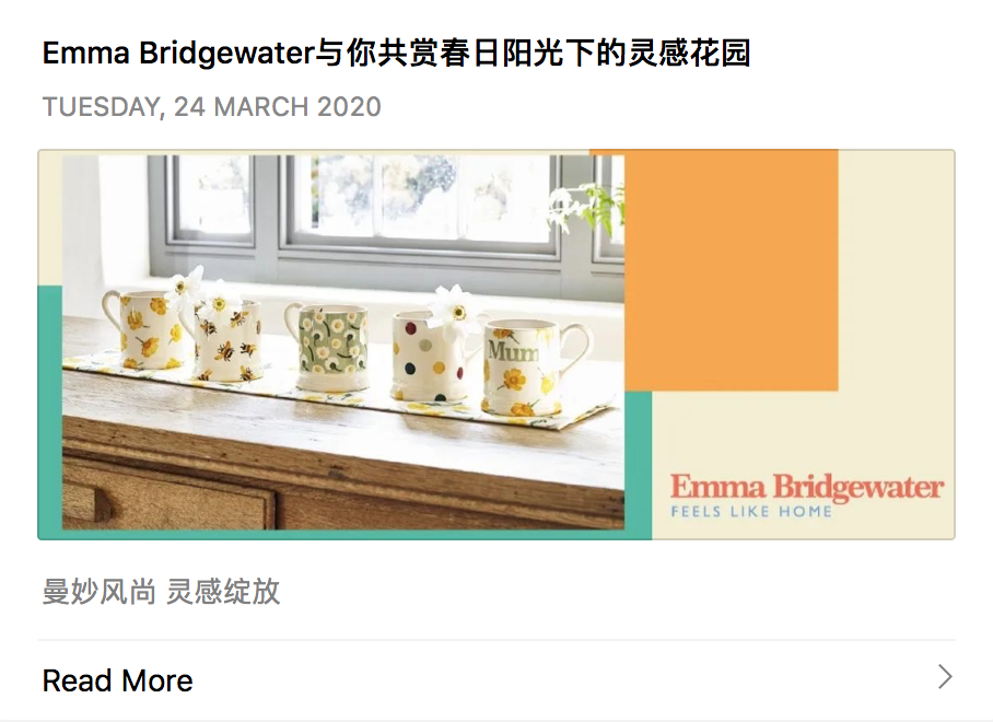 Hylink – Emma Bridgewater lockdown image 1