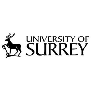 HYLINK – University of Surrey logo