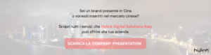 Hylink- Italy-Company-Profile