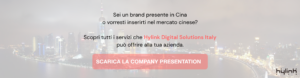Hylink- Italy-Company-Profile